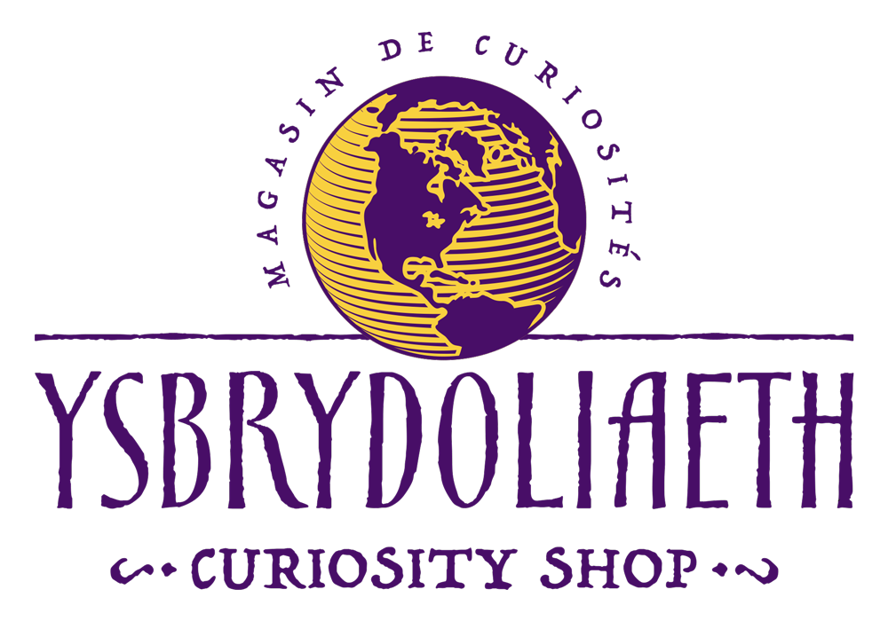 Ysbrydoliaeth Curiosity Shop